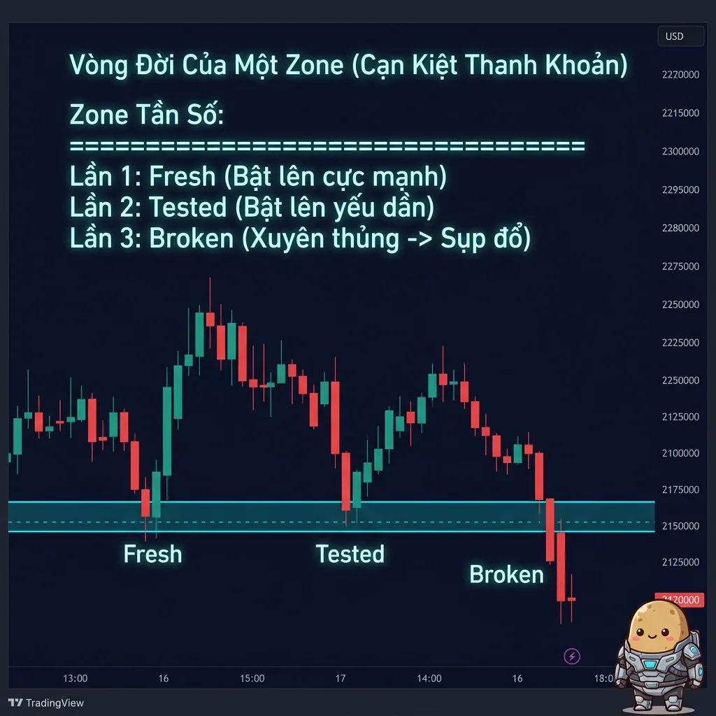 Vòng Đời Của Một Zone