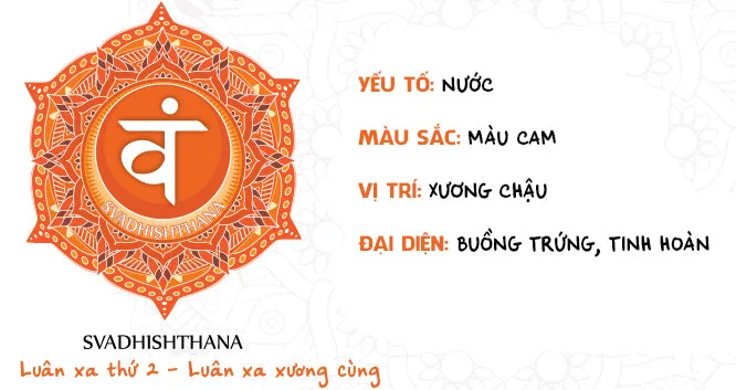 Jennie uyen chu yinyang masters đá thạch anh năng lượng luật hấp dẫn