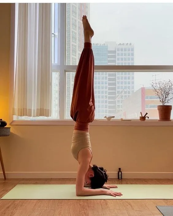 Jennie uyen chu yinyang masters đá thạch anh năng lượng luật hấp dẫn