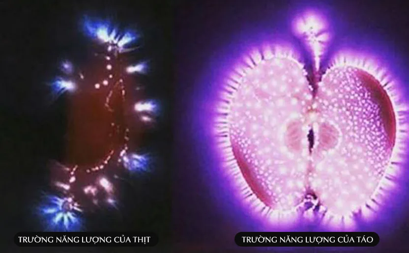 Jennie uyen chu yinyang masters đá thạch anh năng lượng luật hấp dẫn