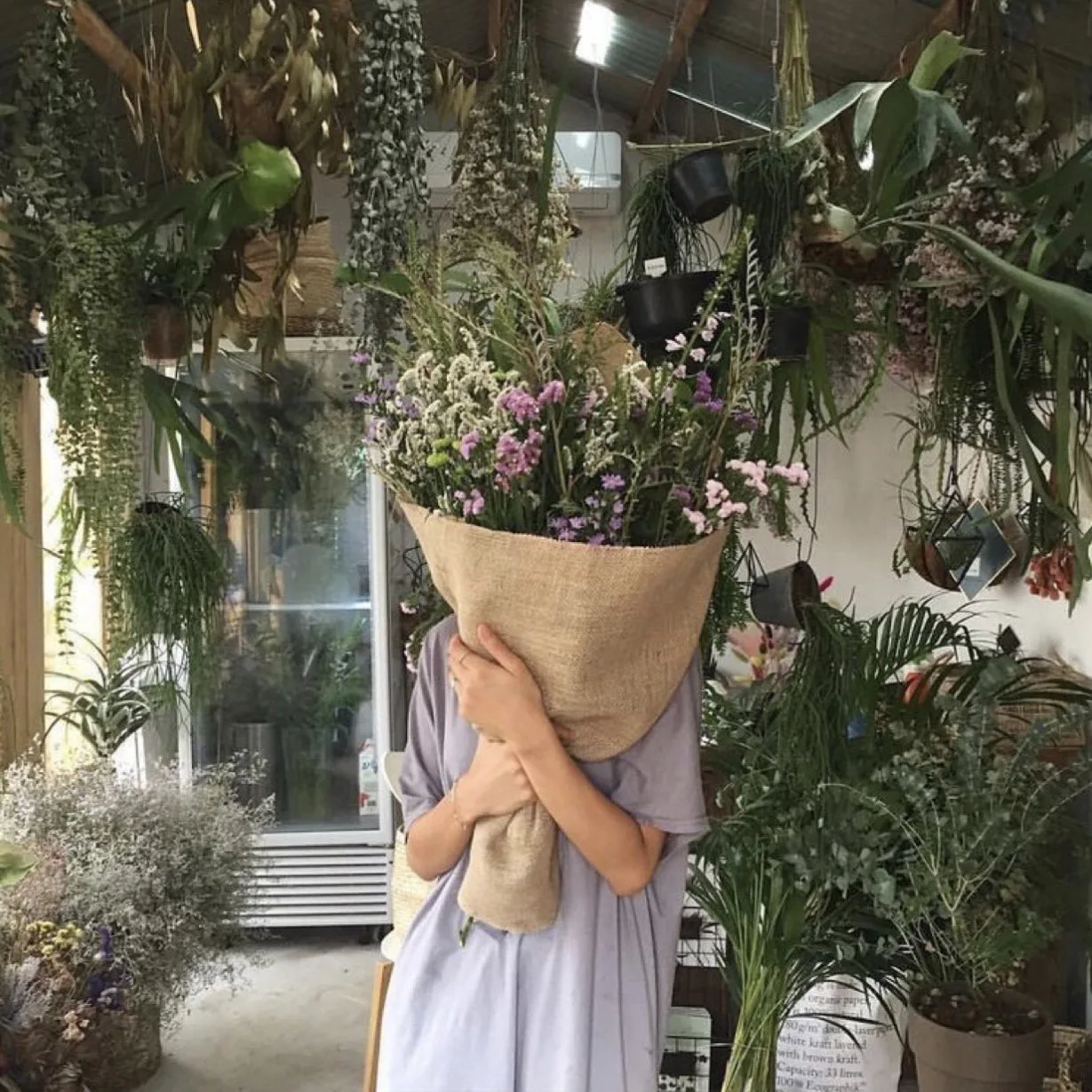 Jennie uyen chu yinyang masters đá thạch anh năng lượng luật hấp dẫn