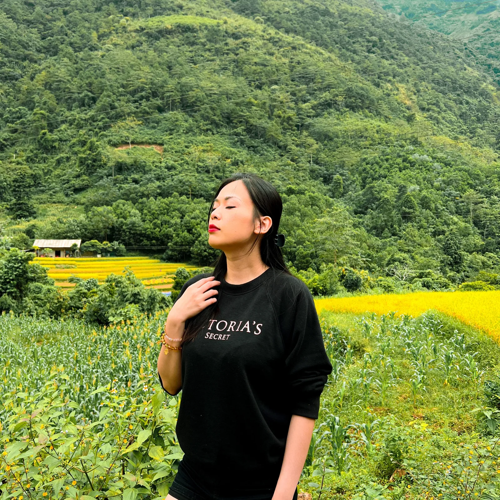 Jennie uyen chu yinyang masters đá thạch anh năng lượng luật hấp dẫn