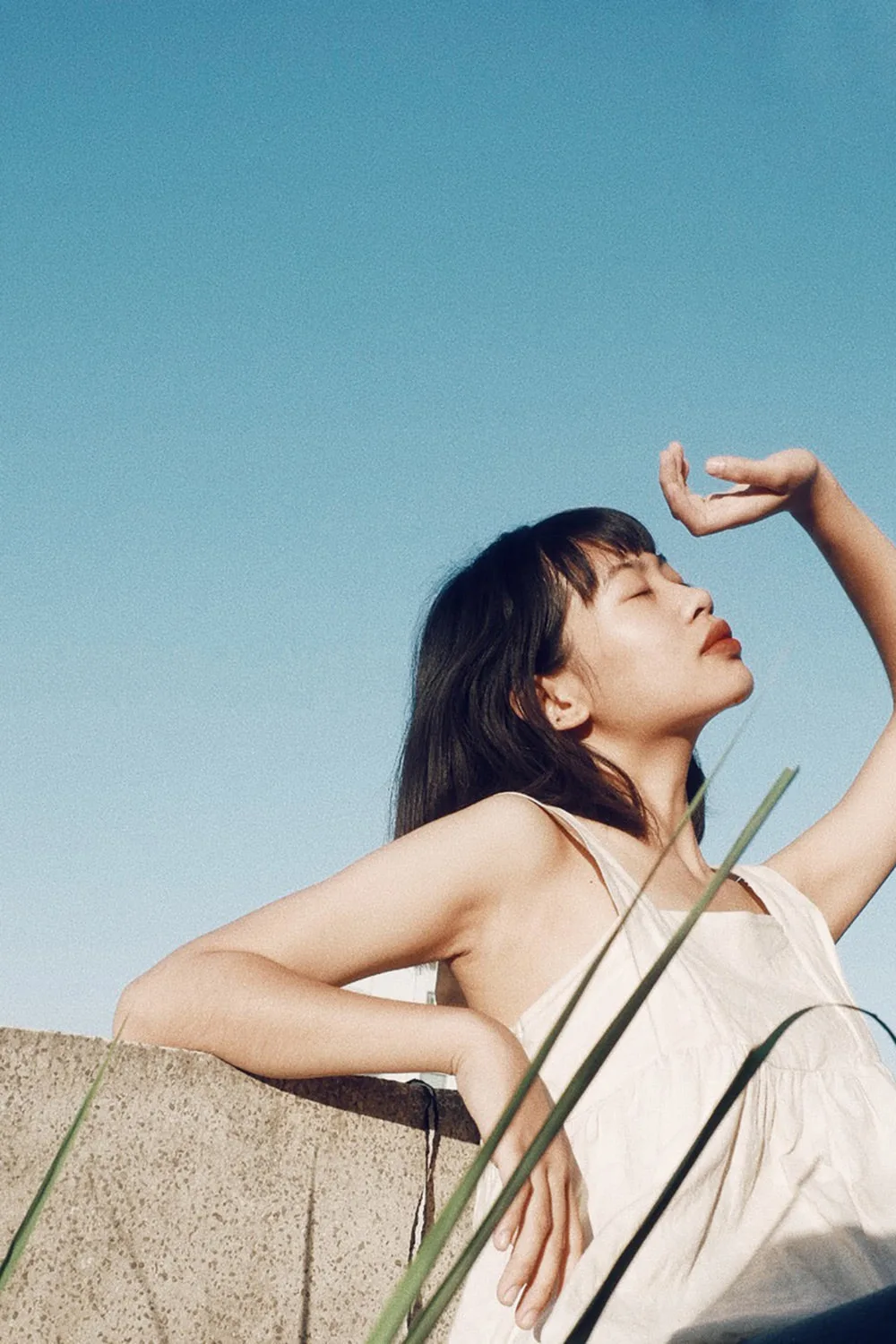 Jennie uyen chu yinyang masters đá thạch anh năng lượng luật hấp dẫn
