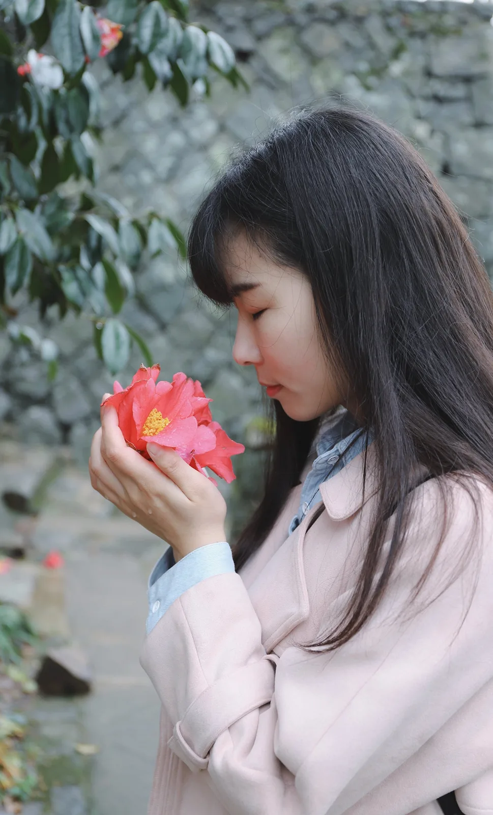 Jennie uyen chu yinyang masters đá thạch anh năng lượng luật hấp dẫn