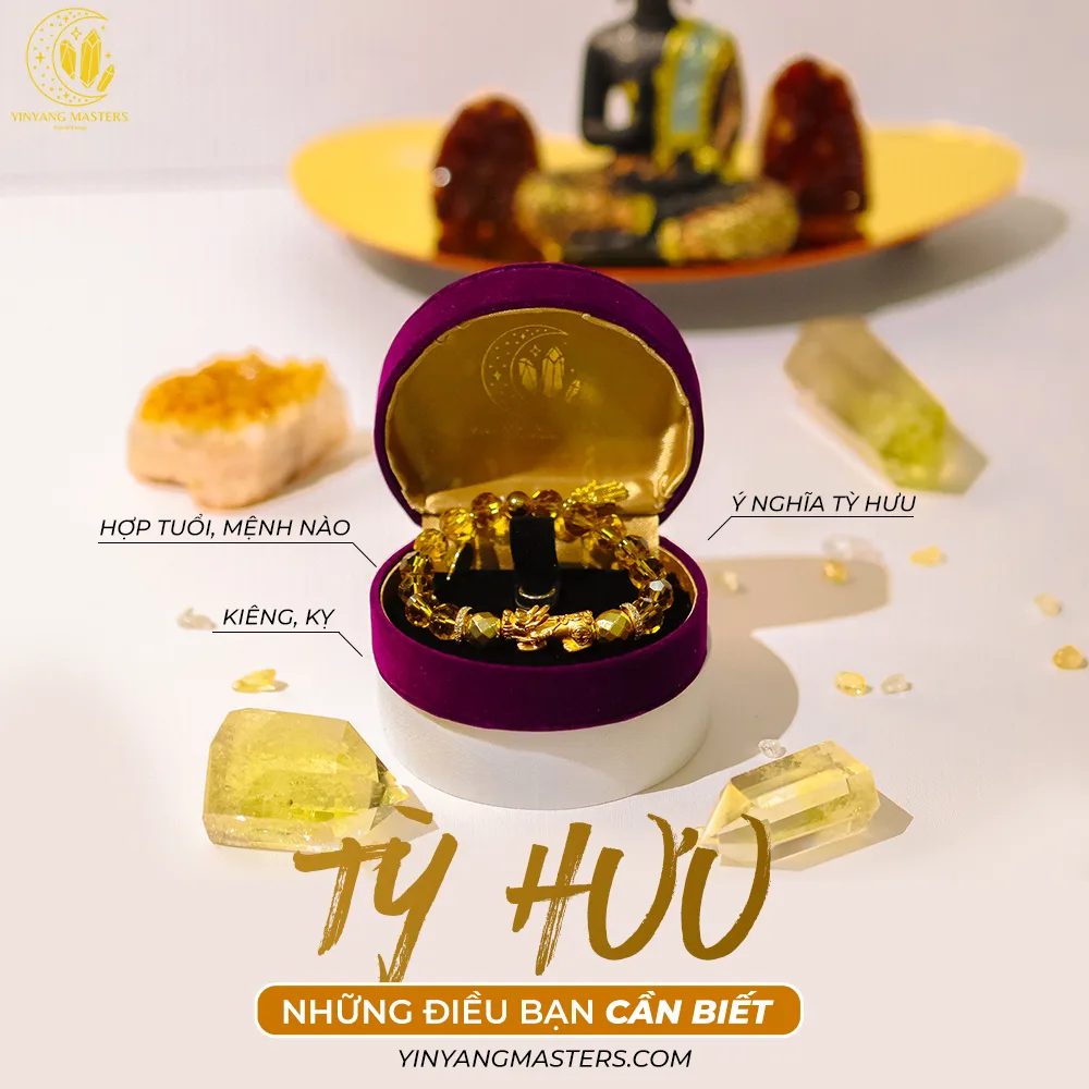 Bỏ túi ngay tài lộc mà tỳ hưu mang lại - Ý nghĩa, hợp tuổi, kiêng kỵ,...