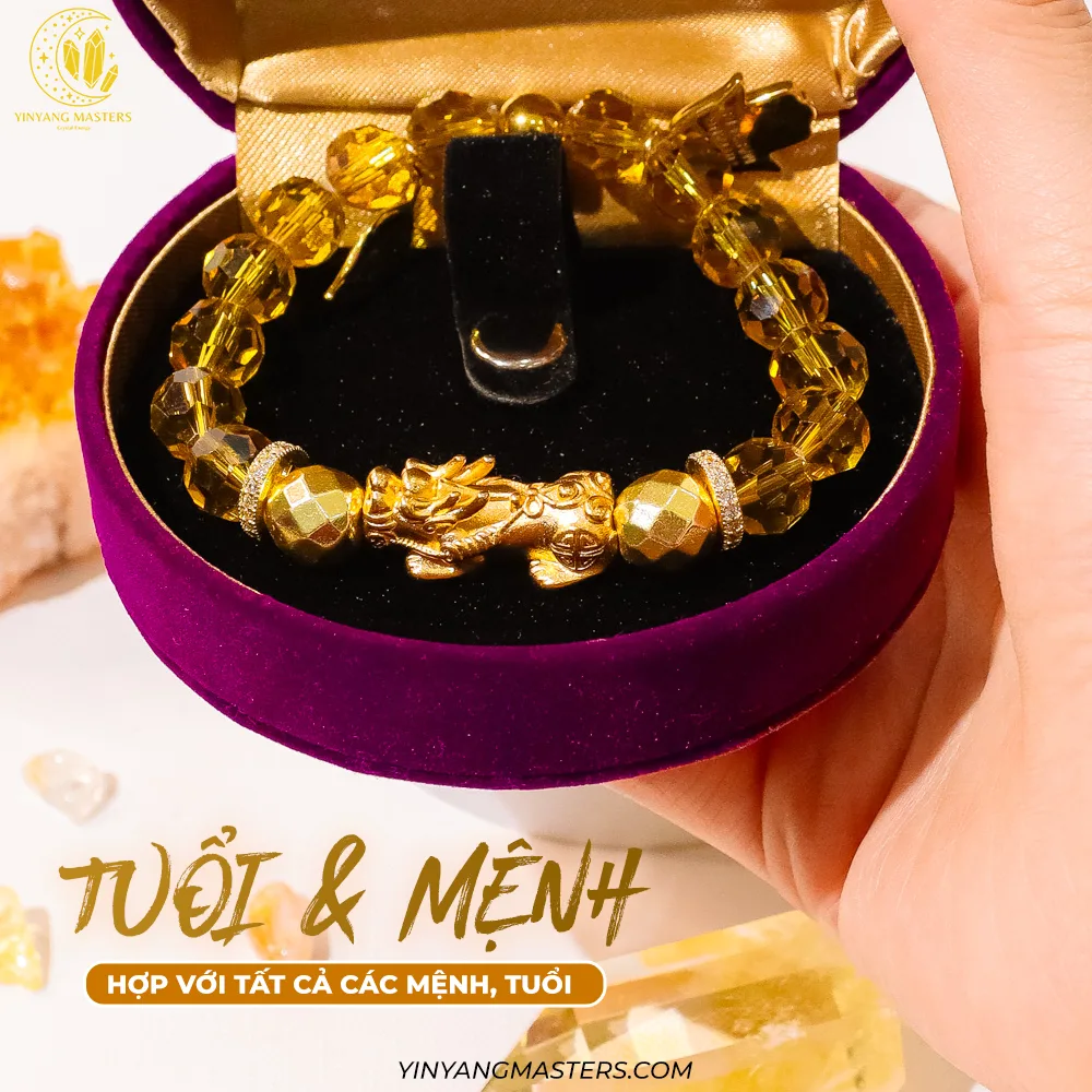 Jennie uyen chu yinyang masters đá thạch anh năng lượng luật hấp dẫn