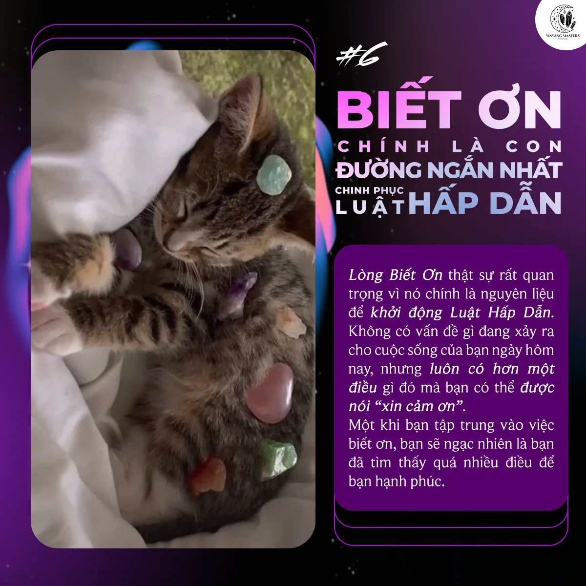 6 Bí Mật Vận Hành Luật Hấp Dẫn Để Có Mọi Thứ Bạn Muốn