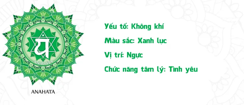 Jennie uyen chu yinyang masters đá thạch anh năng lượng luật hấp dẫn