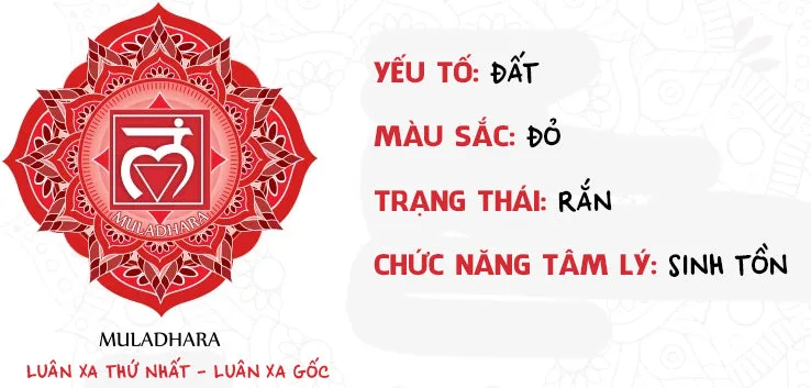 Jennie uyen chu yinyang masters đá thạch anh năng lượng luật hấp dẫn