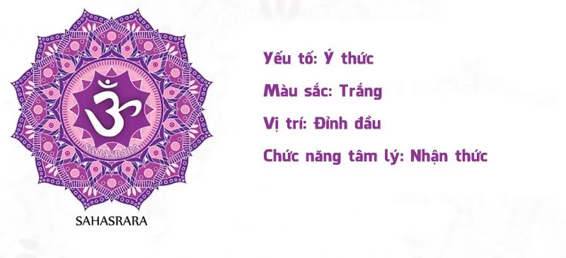 Jennie uyen chu yinyang masters đá thạch anh năng lượng luật hấp dẫn