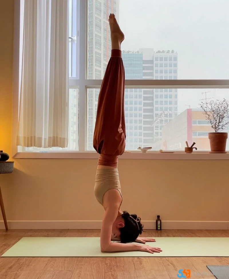 Jennie uyen chu yinyang masters đá thạch anh năng lượng luật hấp dẫn