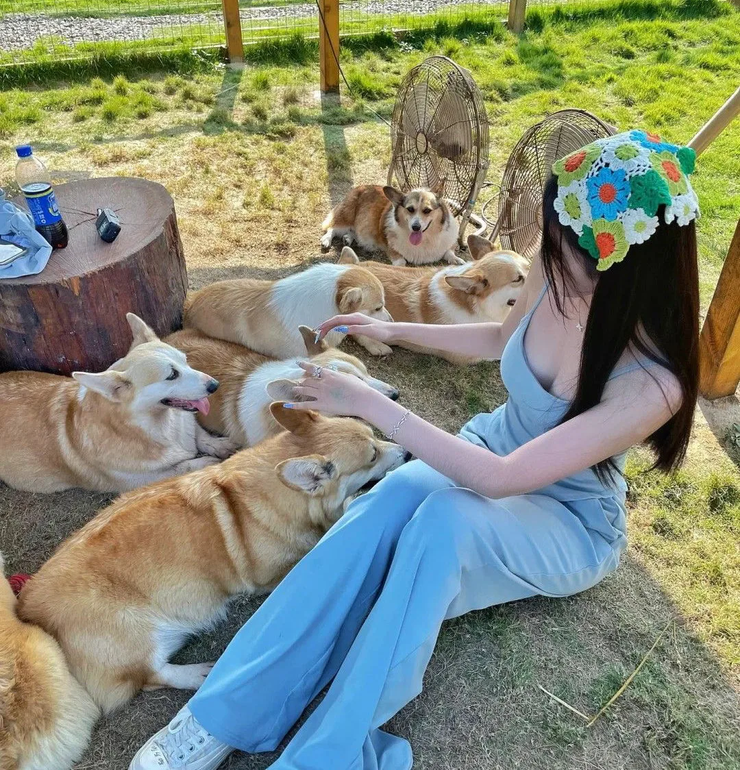 Jennie uyen chu yinyang masters đá thạch anh năng lượng luật hấp dẫn