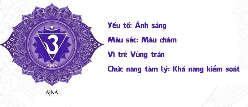 Jennie uyen chu yinyang masters đá thạch anh năng lượng luật hấp dẫn