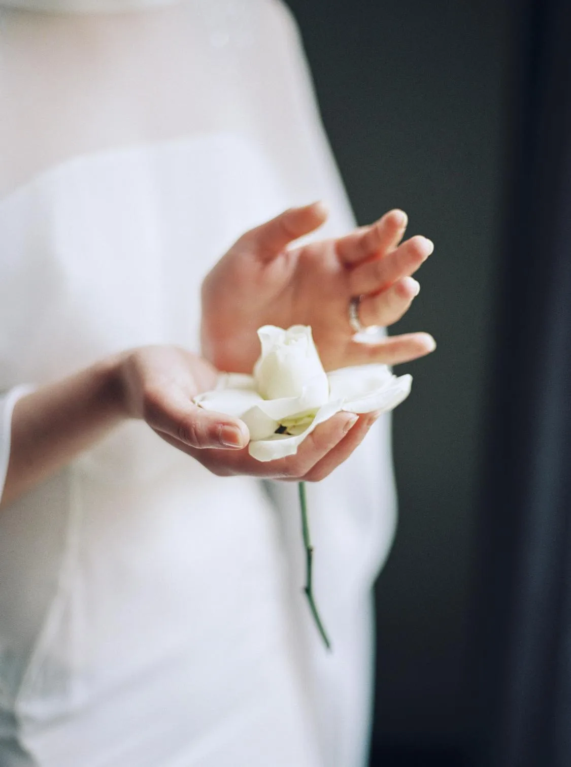 Jennie uyen chu yinyang masters đá thạch anh năng lượng luật hấp dẫn