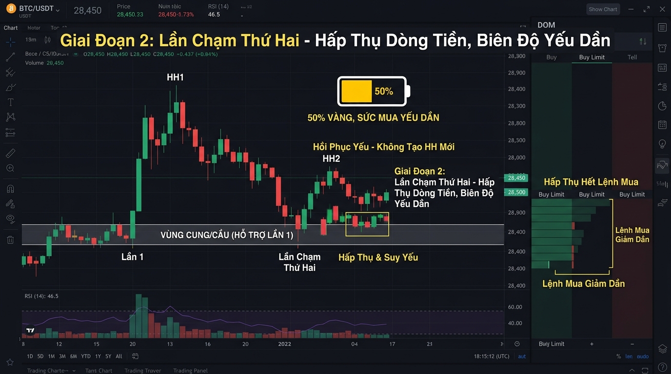 Minh họa Giai Đoạn 2 Hấp Thụ và Suy Yếu